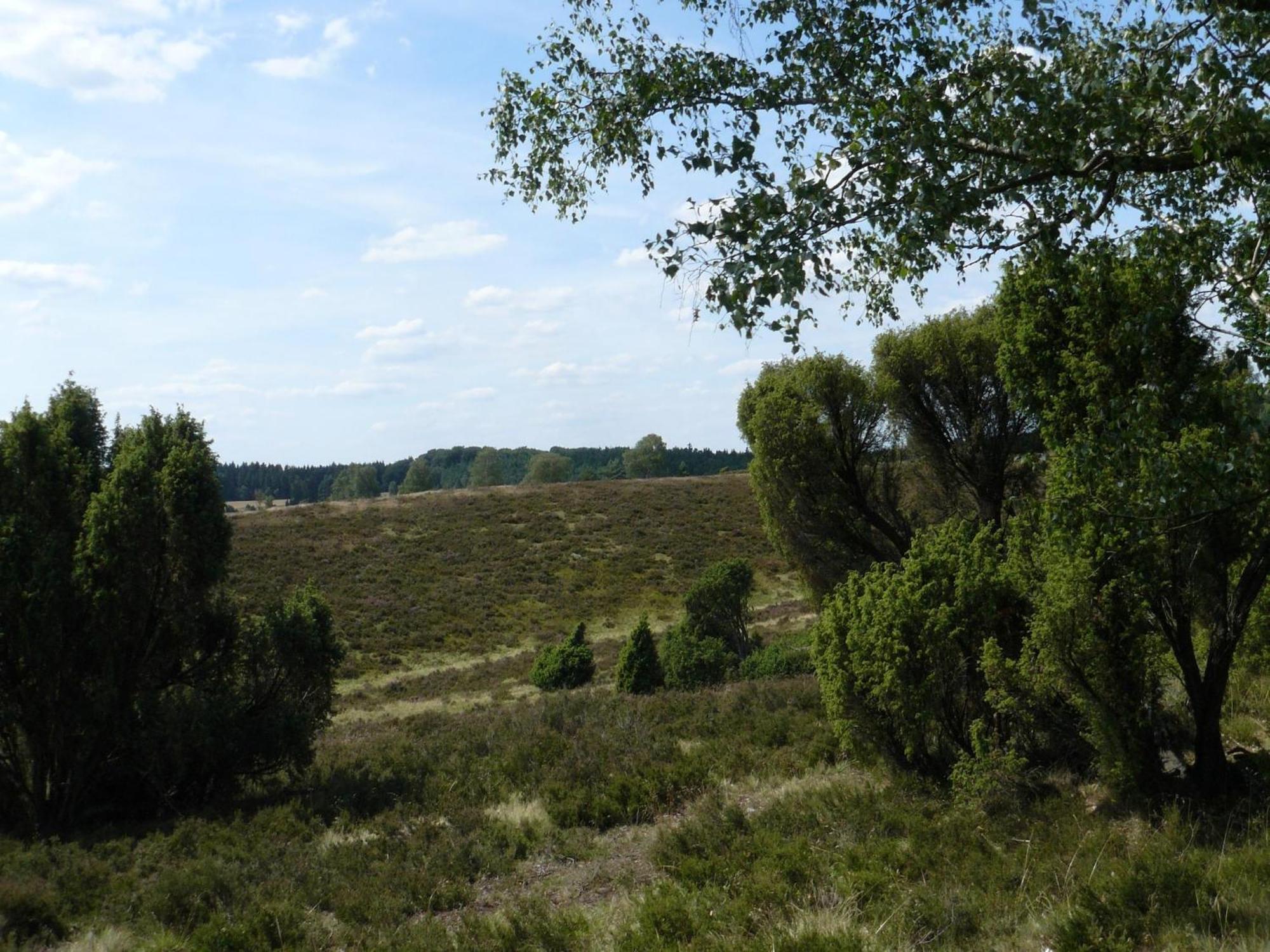 Holiday Home In Wietzendorf In The L Neburg Heath With A View Of The Countryside Exterior foto