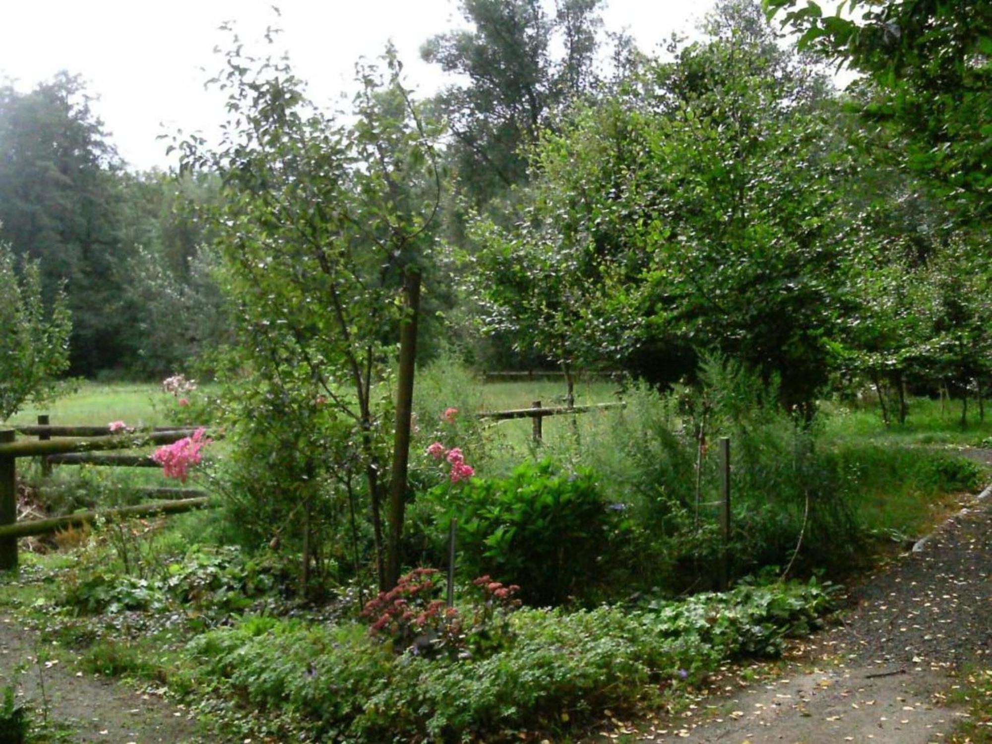 Holiday Home In Wietzendorf In The L Neburg Heath With A View Of The Countryside Exterior foto